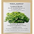 Black Seeded Simpson Leaf Lettuce Seed (Approx.8800 Seeds-11 Grams) Indoor Outdoor Hydroponics Heirloom Non GMO Beautiful Tas