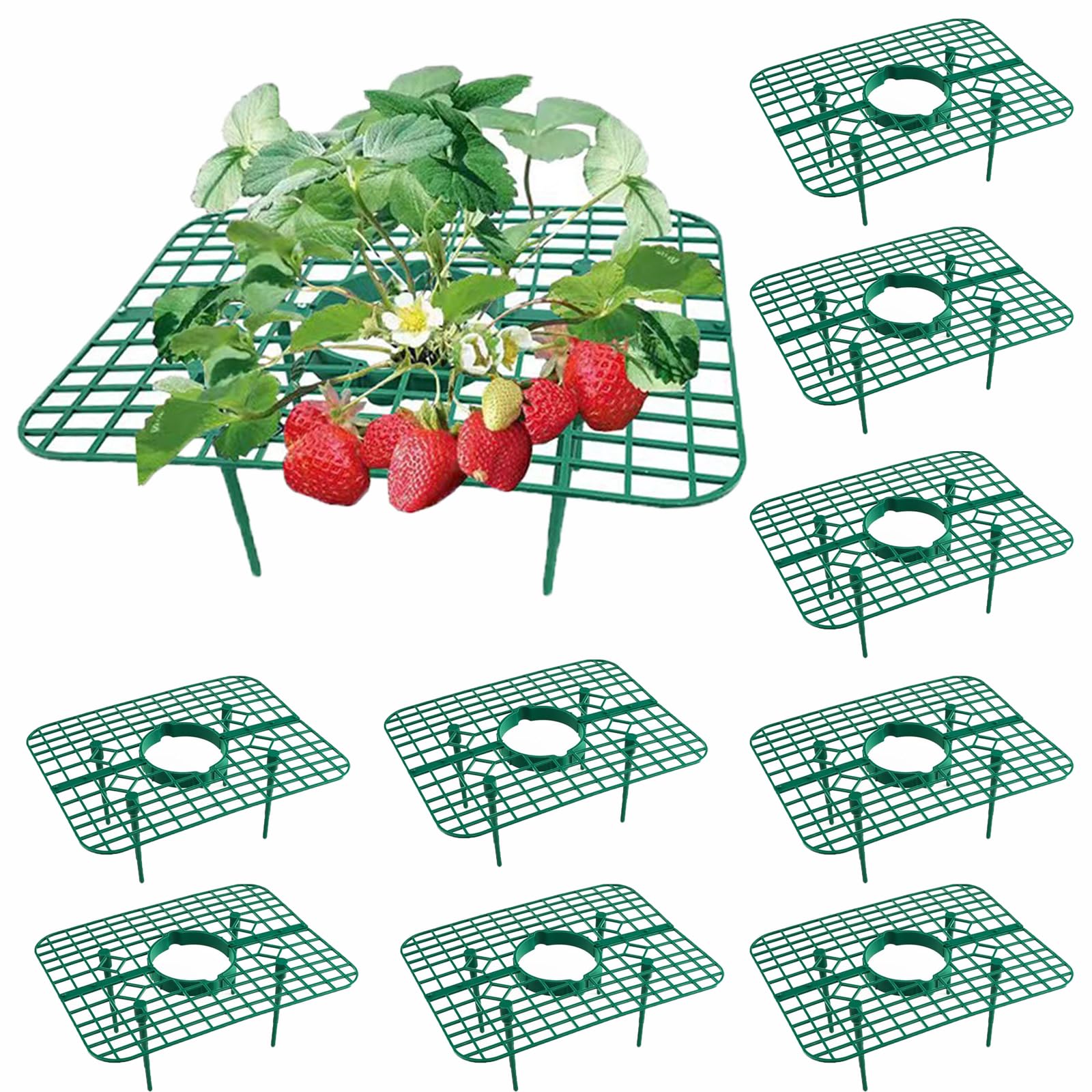 LSRVNM 10 Pack Strawberry Supports, Strawberry Mature Set, Strawberry Planting Rack, Square Flower Stand, Garden Plant Trellis with 4 Legs Stand for Garden Snail Protection/Protection from Rot