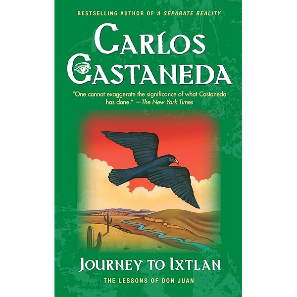 洋書　A Separate Reality Carlos Castaneda A Separate Reality (The Teachings of Don Juan): Castaneda