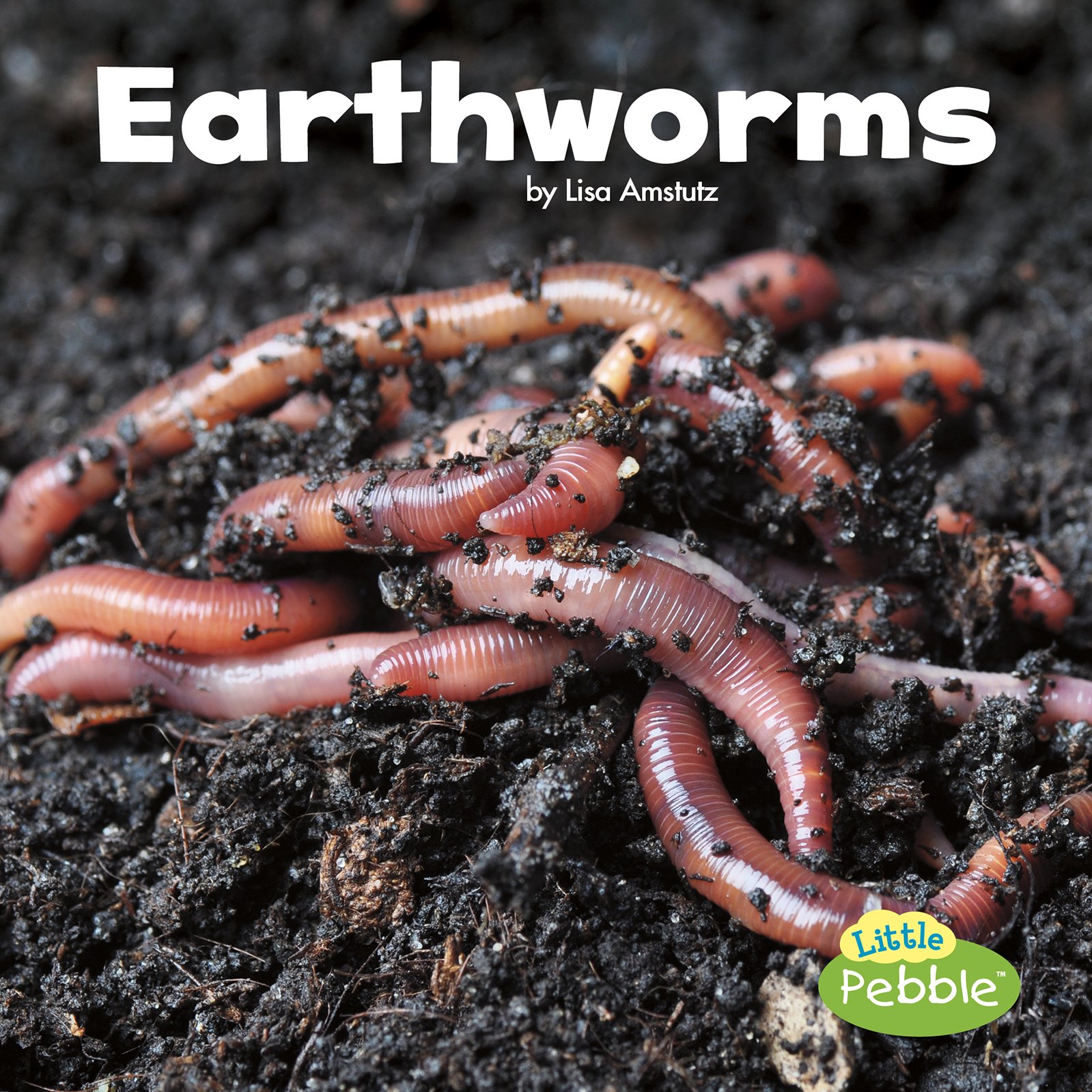 Earthworms (Little Critters): Amstutz, Lisa J.: 9781515719427 ...