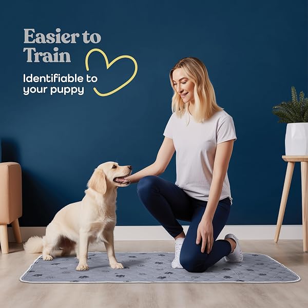SUPER ABSORBENT WASHABLE PEE PADS FOR DOGS – 2-PACK SUPERIOR REUSABLE PUPPY PADS PET TRAINING PADS –100% WATERPROOF DOG PEE PAD PROTECTS AGAINST URINE LEAKAGE NON-SLIP GRIP PREVENTS SLIPPING& BUNCHING