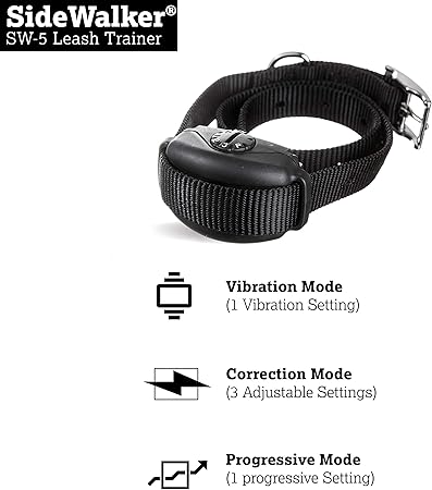 sidewalker leash trainer