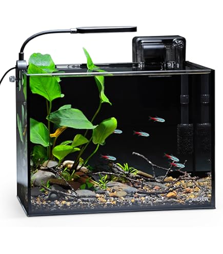 Ultra Clear Glass Fish Tank 6.5 Gallon, 6mm Thickened Rimless