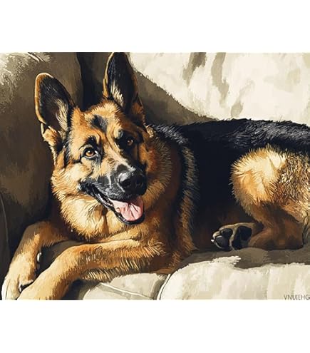 Diamond Art Painting Kit Adults Landscape Adult Beginner - Australia