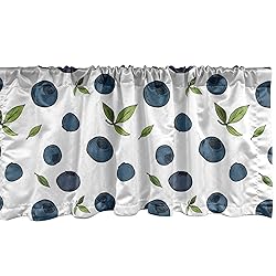 Ambesonne Fruit Window Valance, Rhythmic