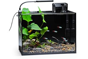 NICREW 2.5 Gallon Nano Nature Aquarium Kit, Ultra-Clear Rimless Desktop Fish Tank with Light, Filter, Gravel and Rock, Perfect for Small Fish, Shrimp, or Betta, Complete Version, Black
