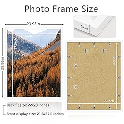 Picrit 22x28 Poster Frame, Picture Frame for Wall