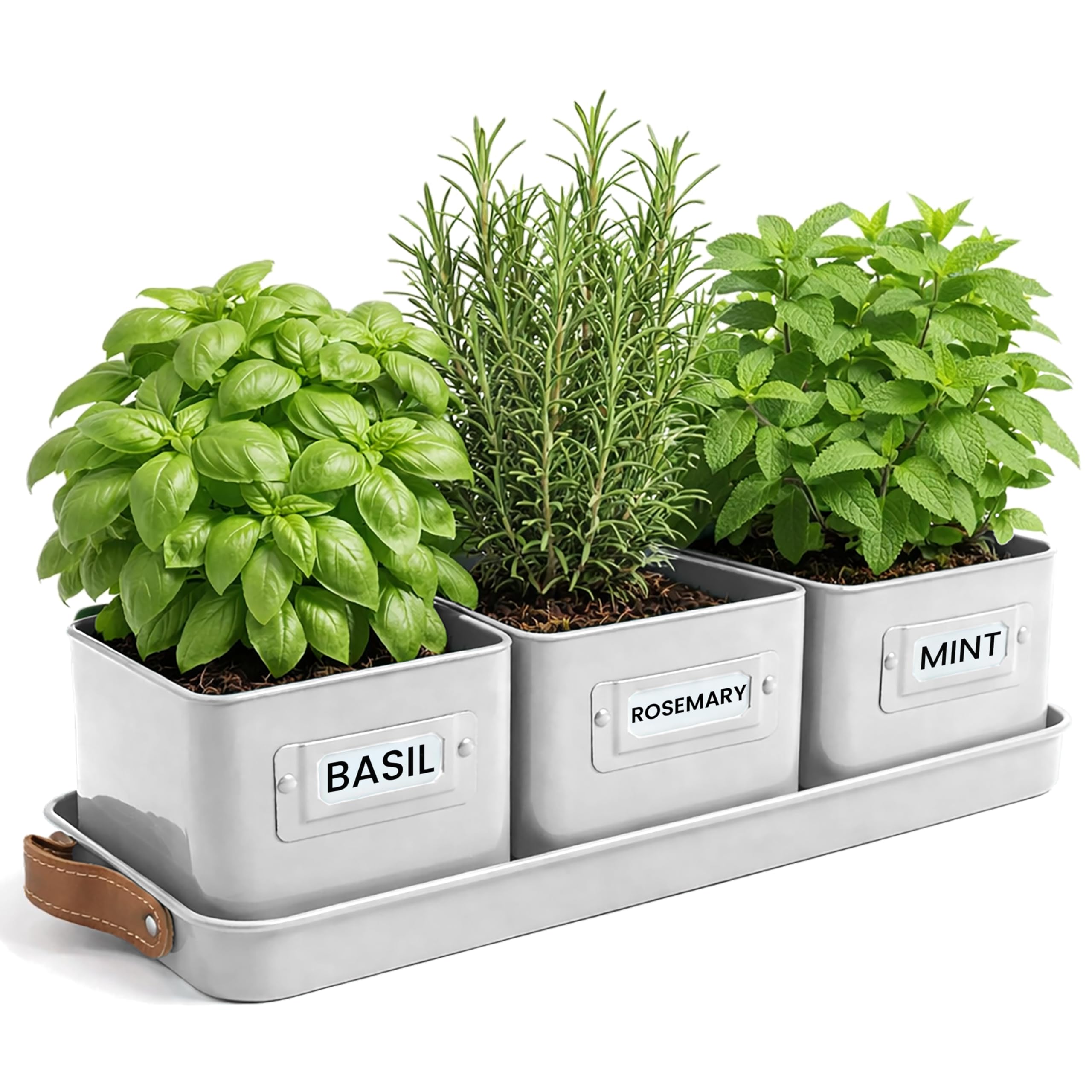 Green Thumbz Herb Pots for Kitchen Windowsill - Set of 3 Warm Stone Herb Planter Indoor with Leather Handled Tray - Ideal for an Indoor Herb Garden, Plants and Flowers - Labels Included — image 1