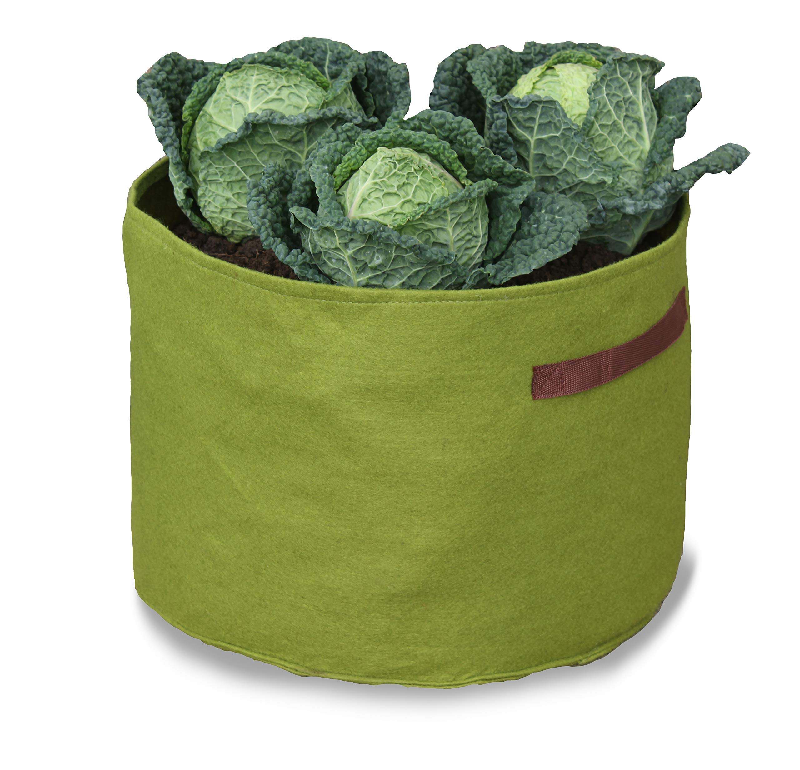 Haxnicks Vigoroot Air Pruning Vegetable Garden Planter | Special Garden Fabric Needs Less Compost | Better Roots | Stronger Plants | Up To 30% Higher Yield | 37L Capacity, H30 cm W40 cm | VIG130101