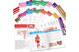 chiazllta 16 Pack Anatomy & Physiology Study Guides Set Human Body Systems Anatomy Study Tools Educational Charts Nursing School Success Bundle for Paramedic Medical School Students
