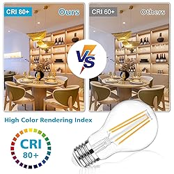 Ascher 60 Watt Equivalent, E26 LED Filament Light