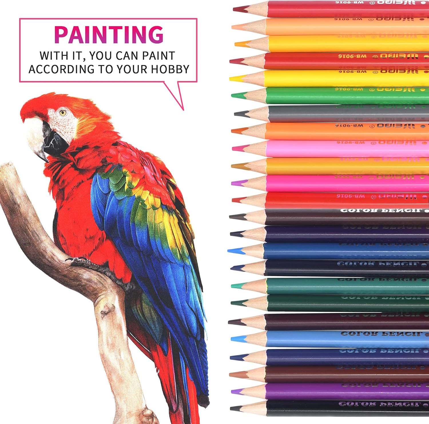 Weibo Coloured Pencils 12 pcs Art Drawing Set Perfect for Adults Children Colouring Books with Vibrant Colors by Sketching Drawing Painting Writing (Double Color 12pcs Pencils-24 Colors) (24color) : Office Products