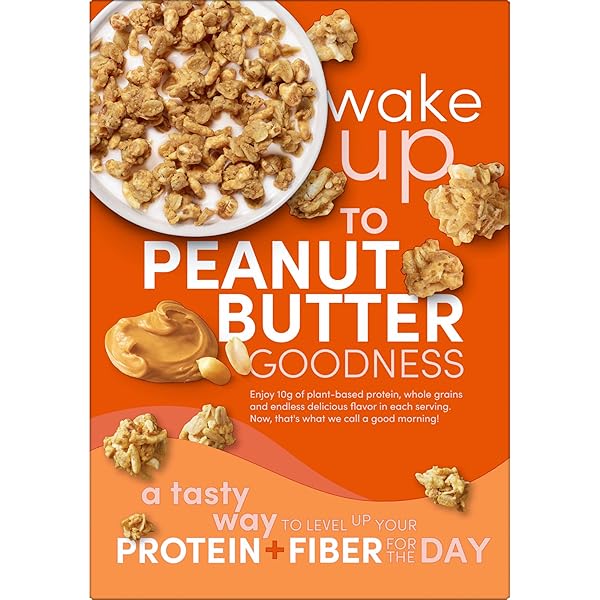 KASHI GO PROTEIN CEREAL, 10G PROTEIN, 10G FIBER, PEANUT BUTTER CRUNCH, 16.9OZ BOX (1 BOX)