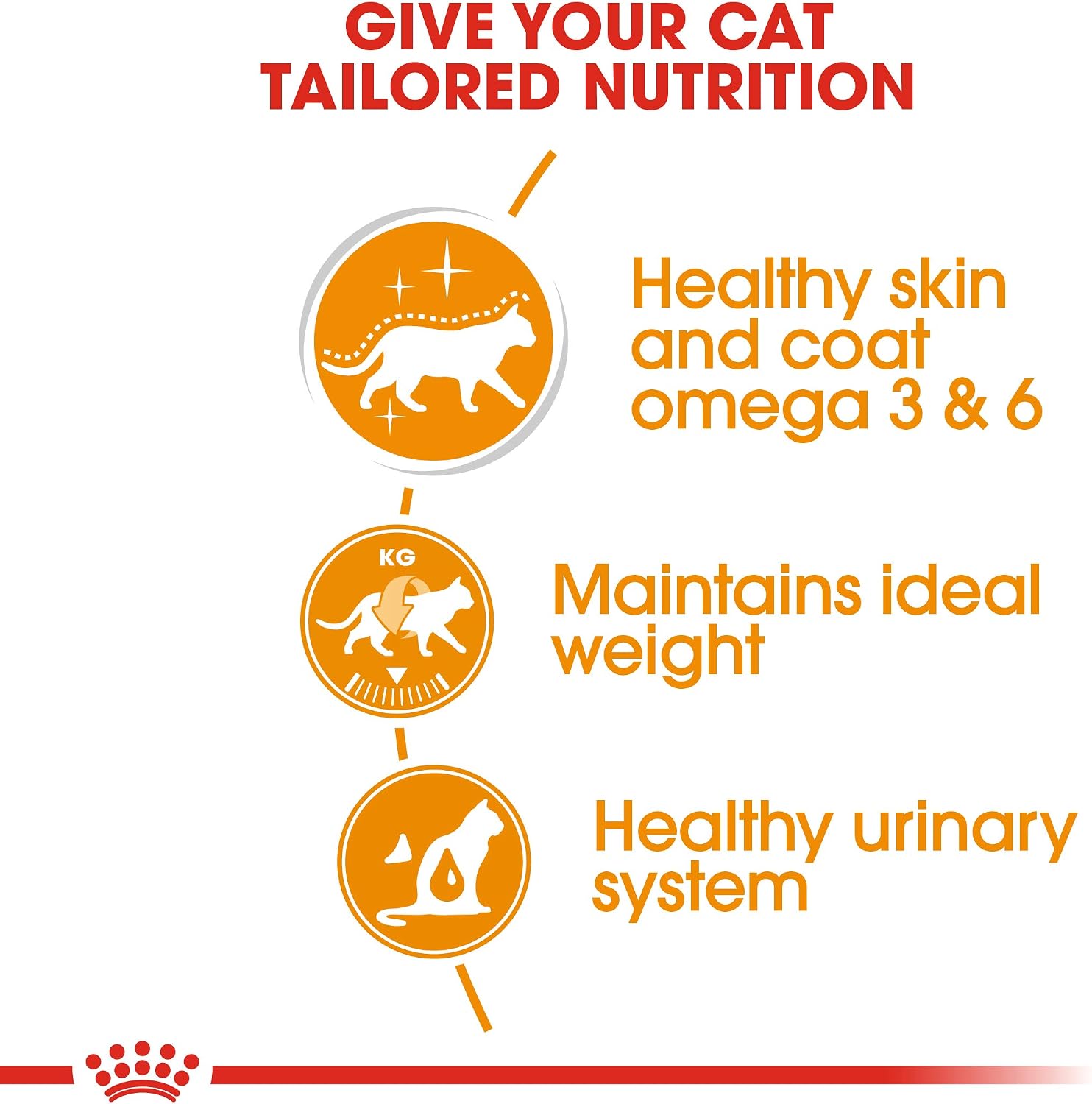 Royal Canin Hair & Skin Care Adult Wet Cat Food in Gravy 12 x 85g, 85 g (Pack of 12) - Image 4
