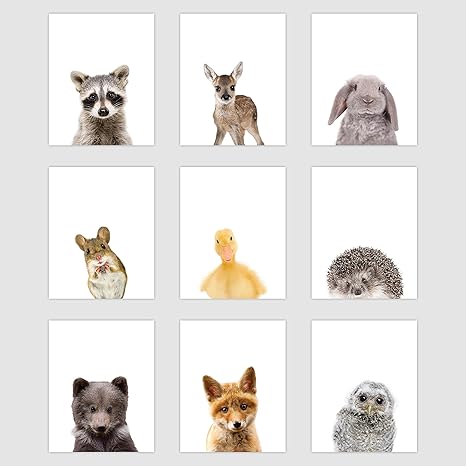 animal posters for baby room