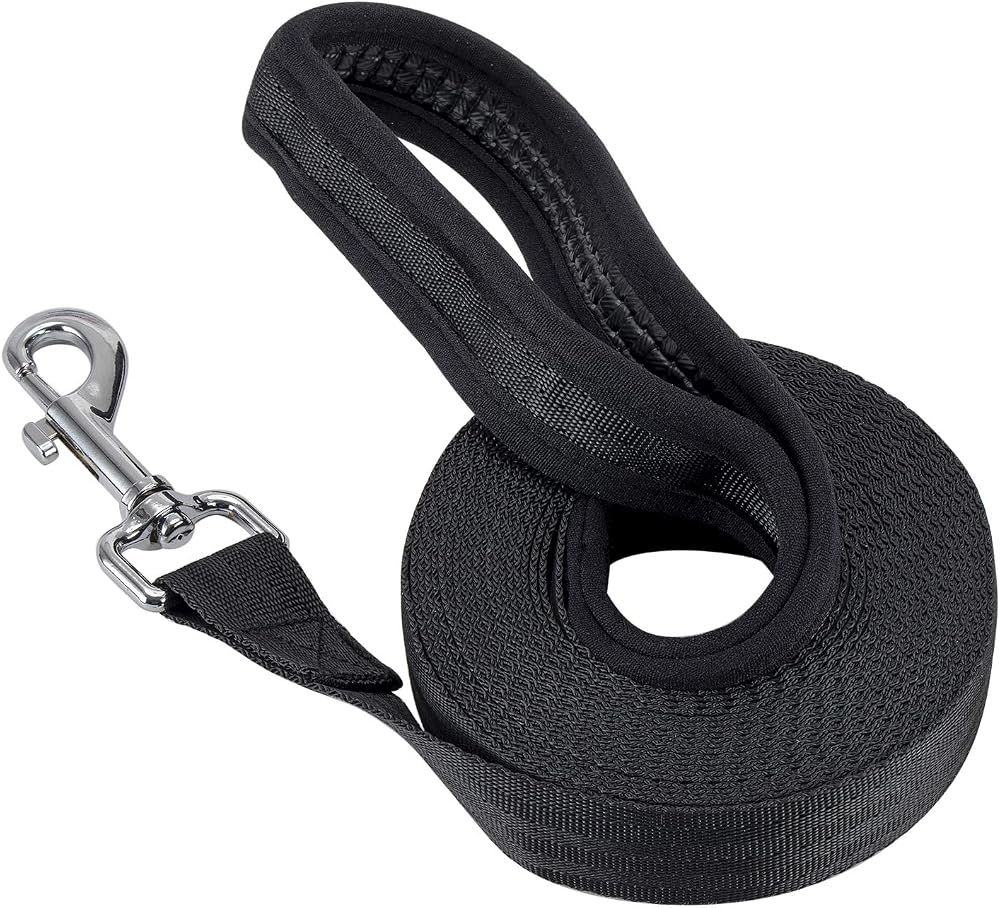 Vivifying 20FT Nylon Training Dog Leash Long Line 6M Comfort Grip Orange