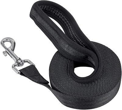 Vivifying 20FT Nylon Training Dog Leash Long Line 6M Comfort Grip Orange