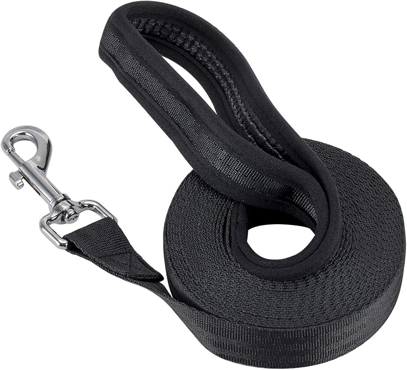 Vivifying 20FT Nylon Training Dog Leash Long Line 6M Comfort Grip Orange