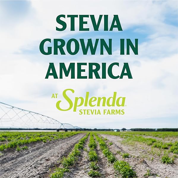 SPLENDA STEVIA ZERO CALORIE SWEETENER, SUGAR SUBSTITUTE PACKETS, 100 COUNT (PACK OF 1)