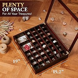 Adjustable Rock Display Case - Rock Collection Box