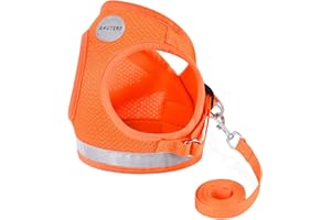 GAUTERF Cat Harnesses and Puppy Harness with Leashes Set, Escape Proof Cat Harness, Adjustable Reflective Soft Mesh Vest Fit Puppy Kitten Rabbit Ferrets's Outdoor Harness