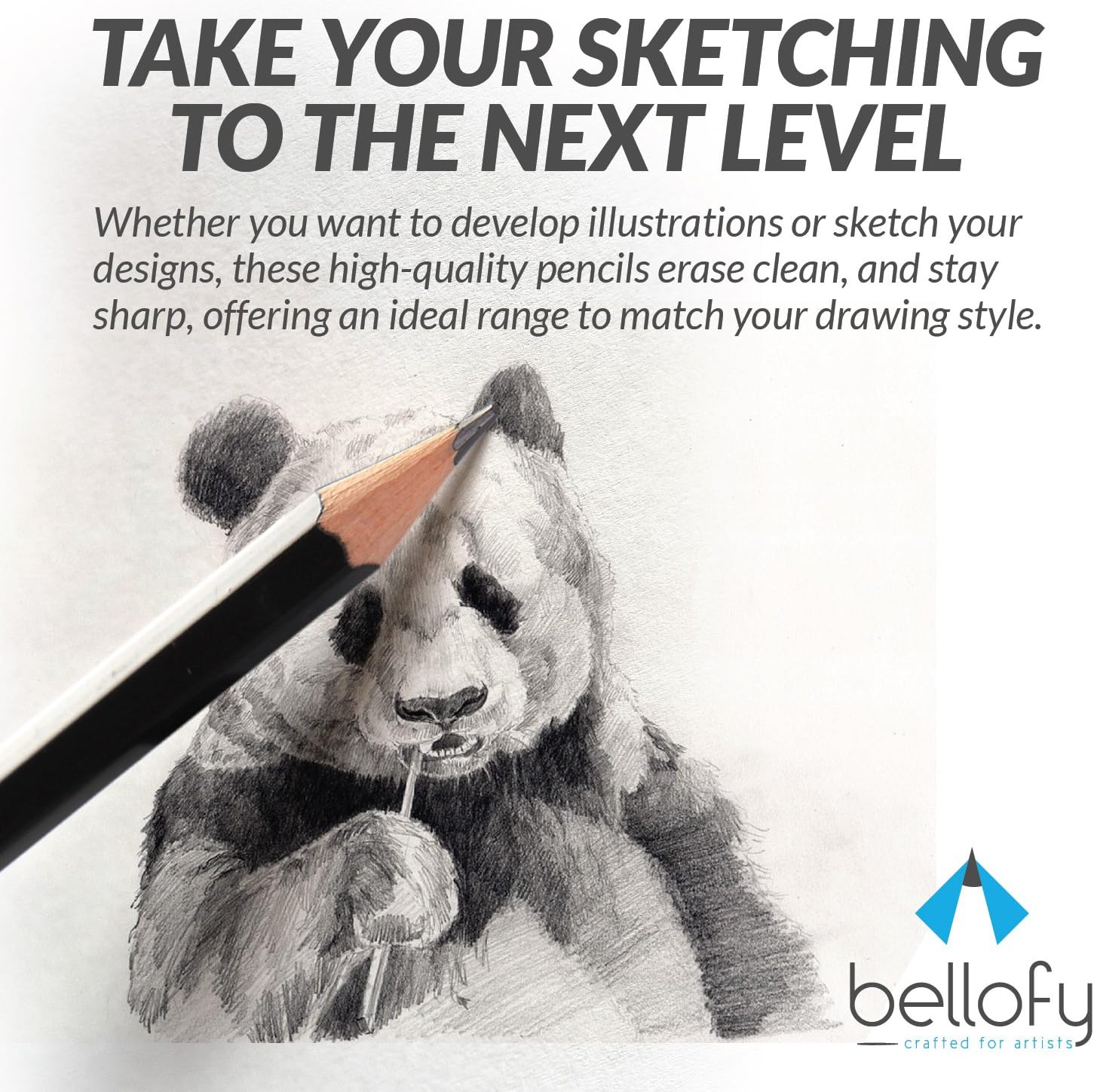 Bellofy 12 Drawing Pencils - Art Pencils Sketch Travel Set Artists Drawing Kit - 9B, 8B, 7B, 6B, 5B, 4B, 3B, 2B, B, HB, F, H - Precision Graphite Pencils for Adults & Kid Artists : Office Products