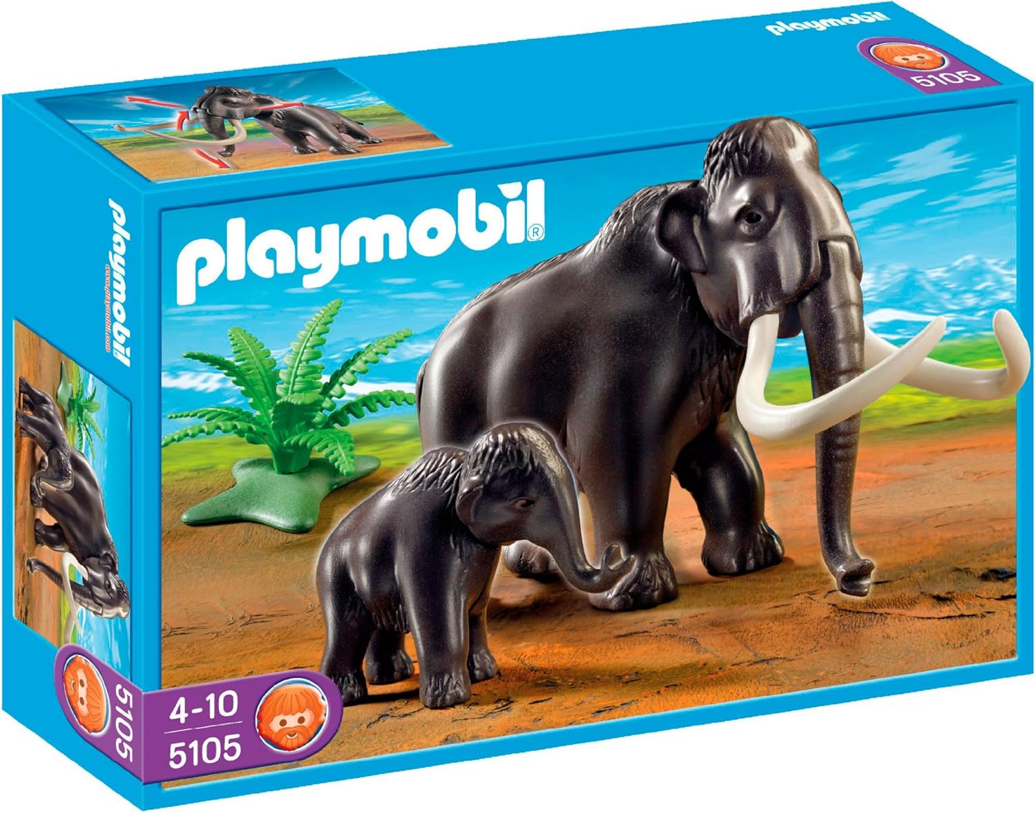 looking for miniature schnauzers for sale