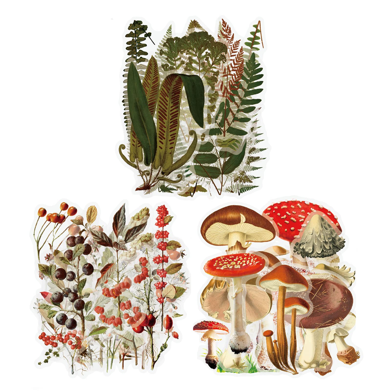TOYMIS 120pcs Plant Journaling Stickers, Waterproof Transparent Vintage Fern Mushroom Flower Nature Scrapbook Sticker for DIY Crafts Cards, Water Bottle, Phone Case, Laptop, Journal Album Decoration