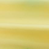 AZ FLAG Jamaica Flag 2x3 ft 100D Polyester with 2 Brass Grommets view 3