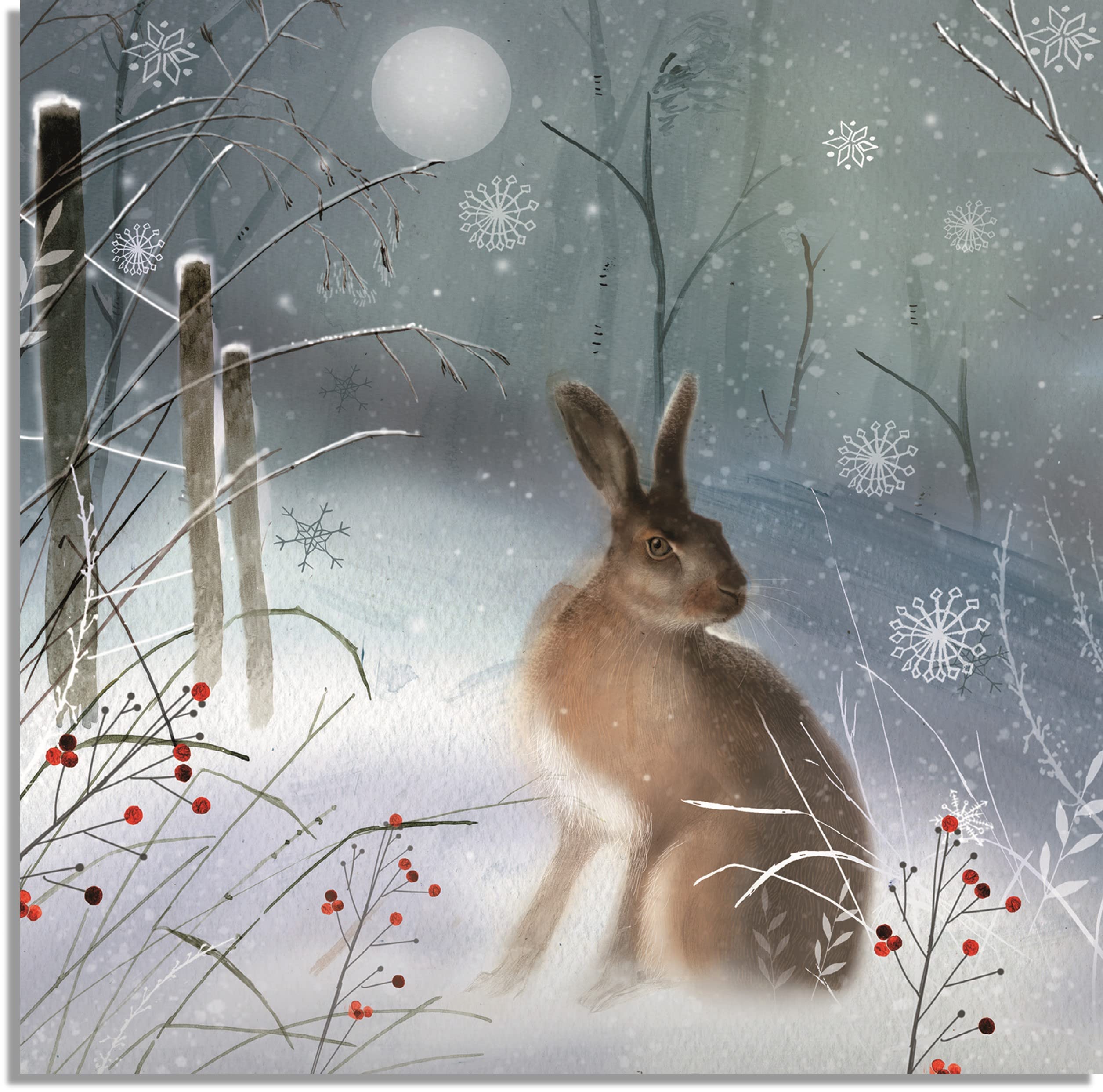 Charity Christmas Cards - (ALCX0370) - Magical Hare - Pack Of 8 Sold In Aid Of Multiple Sclerosis Trust