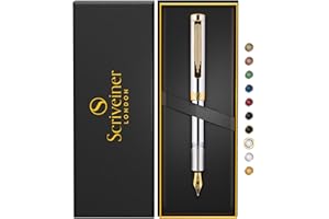 Scriveiner Luxury EDC Fountain Pen (Fine), Stunning Silver Chrome Luxury Pen, Real Gold Plating, Schmidt German Nib, Converter, Writing Gift Set for Men & Women, Nice Fancy Office Designer Pocket-Pen