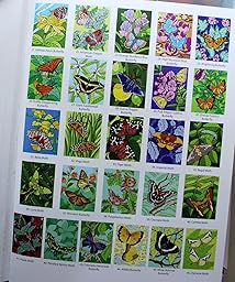 Amazon.com: creative haven floral design color by number coloring book Amazon.com: Creative Haven Butterflies Color by Number Coloring Book