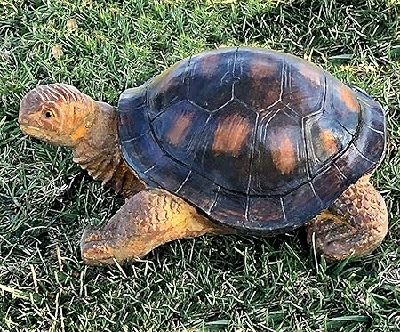 Amazon Com Bellaa 22441 Outdoor Garden Turtle Statues 15 Inch