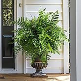 Bailikang 4PCS Artificial Boston Fern Fake Ferns Hanging Plant UV Resistant Inoor Outdoor Faux Shrubs 19Inch Large Faux Ferns Greenery Stems for Home Office Garden Decoration