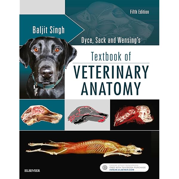 獣医　生理学　Veterinary Physiology 第二版 獣医生理学 | 高橋 迪雄 |本 | 通販 | Amazon