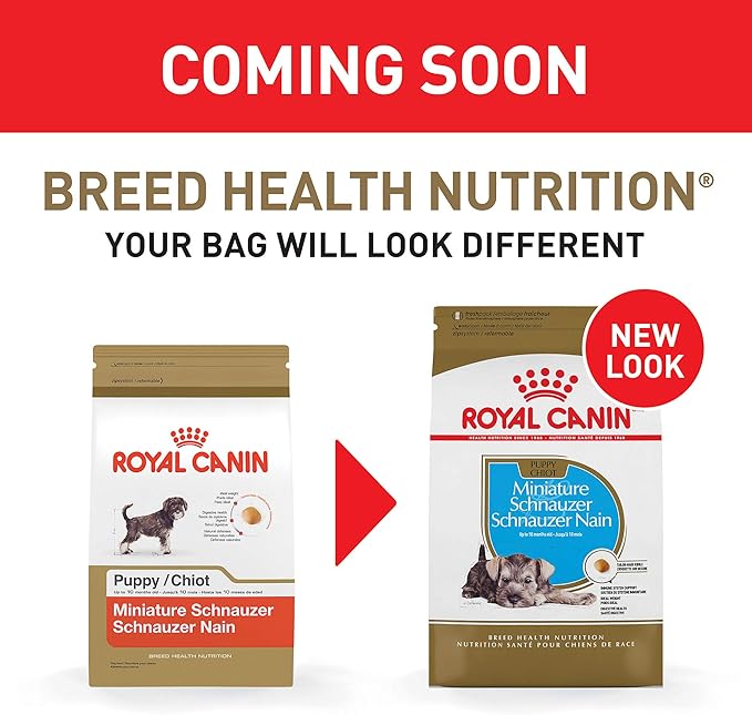 royal canin schnauzer puppy