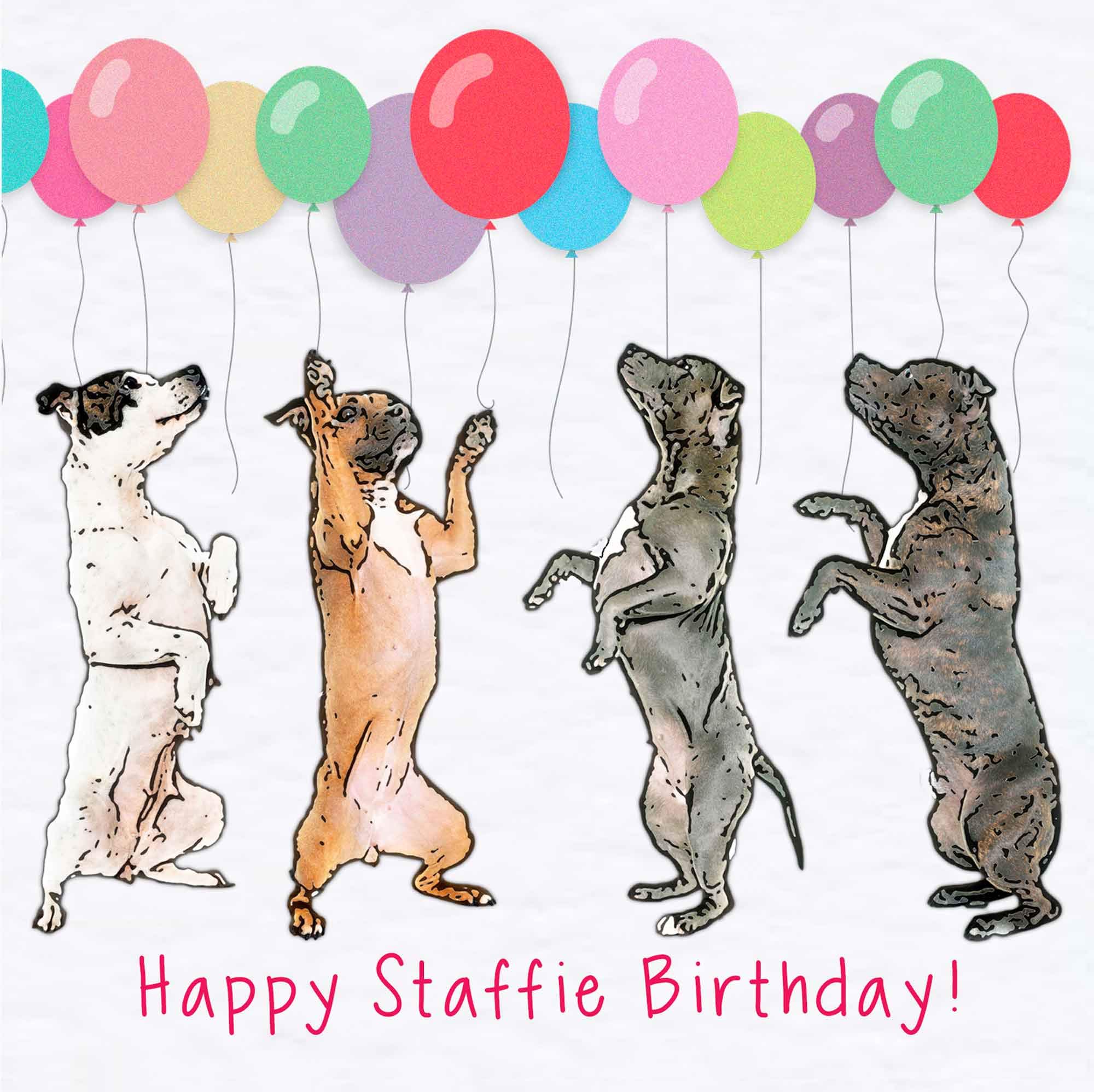 Staffordshire Bull Terrier Birthday Card - Dancing - Staffie Lover Greetings Card - Staffy Blank Card