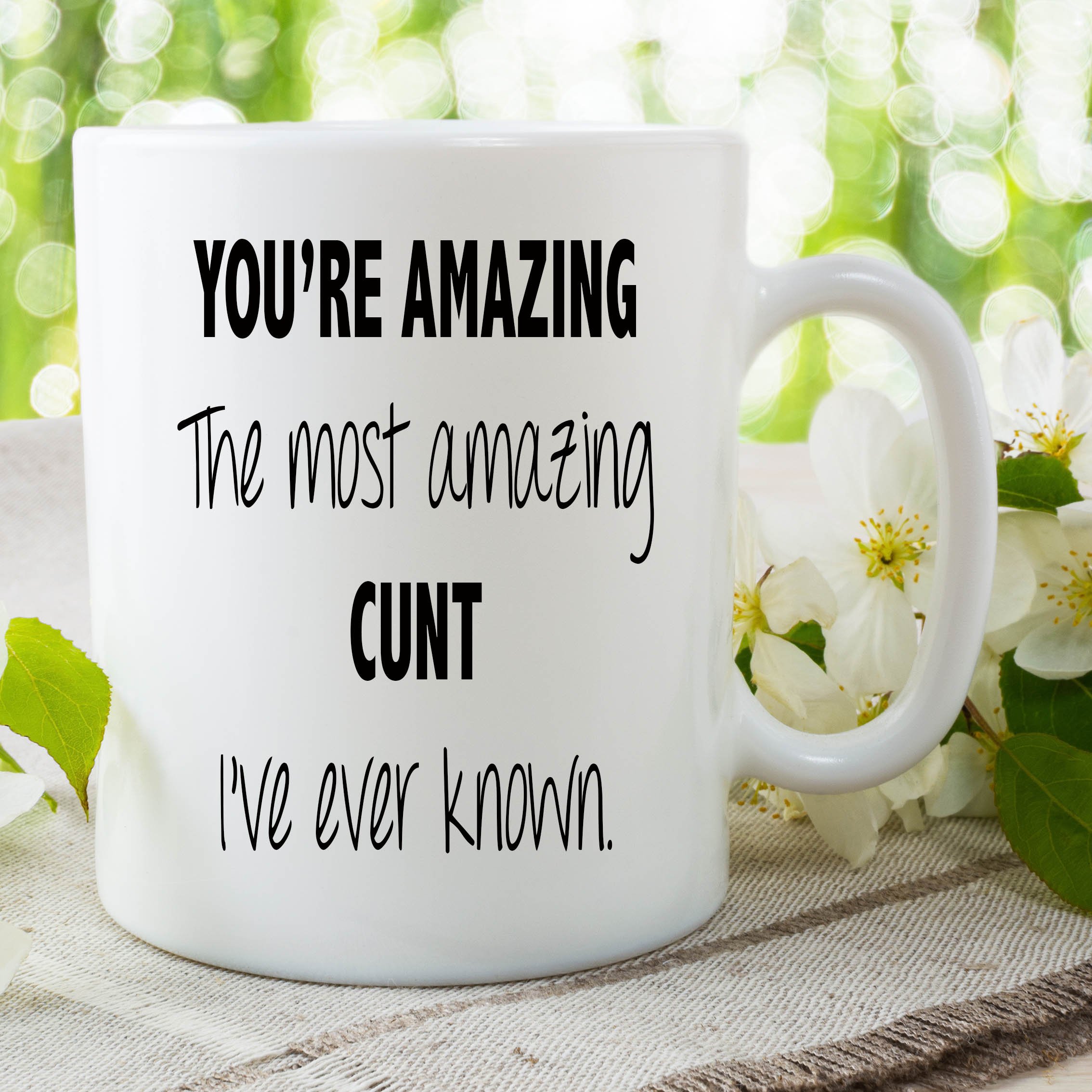 Funny Mug You're Amazing Novelty Coffee Adult Humour Offensive Cups WSDMUG690