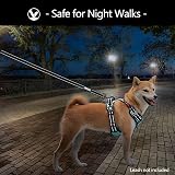 PoyPet No Pull Dog Harness Reflective Front & Back Clips Mint Blue Medium view 7