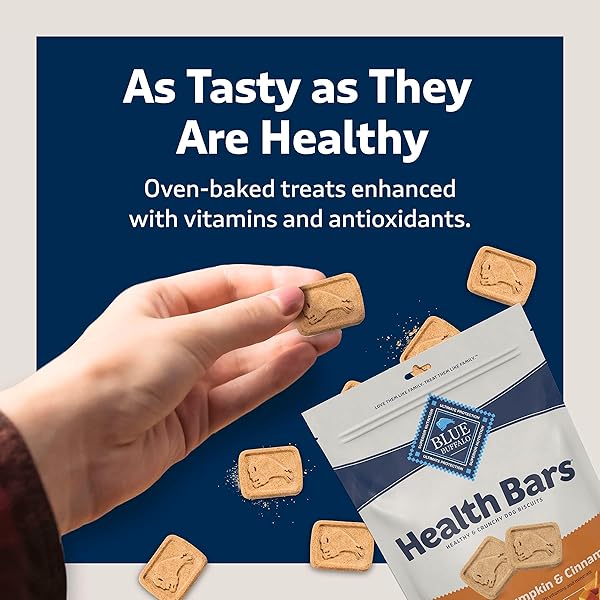 BLUE BUFFALO HEALTH BARS CRUNCHY DOG BISCUITS, OVEN-BAKED WITH NATURAL INGREDIENTS, PUMPKIN & CINNAMON, 16-OZ BAG
