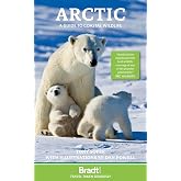 Arctic: A guide to coastal wildlife