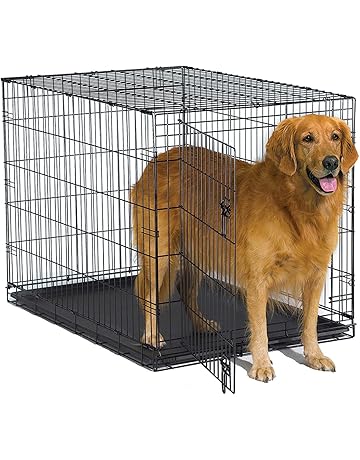 rocky b dog cage