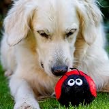 Petface Lindy the Ladybird Plush Dog Toy with Squeaker view 6