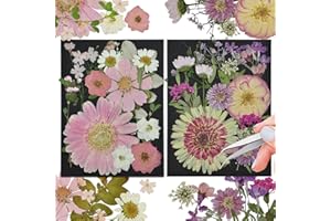 CONVELIFE White Dried Pressed Flowers, 40Pcs Real Nature Flowers Set with Tweezers, Pressed Flowers for Resin DIY Jewelry Candle Soap Vase Making Nail Card Scrapbook Art Craft Floral Decors