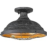 Golden Lighting Bartlett 2-Light Semi-Flush Mount in Black Patina