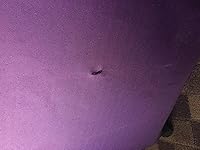 Review Image by Francis Mba Francis Mba