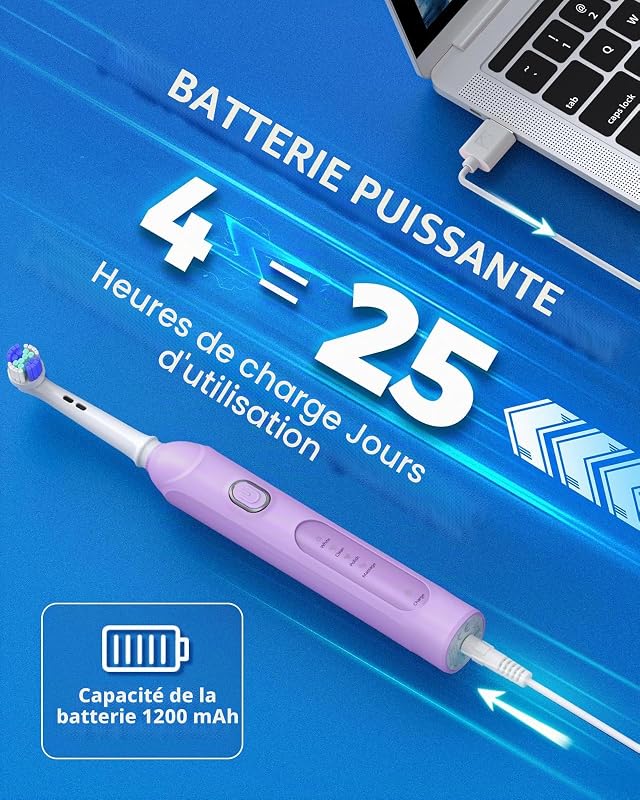 Brosse à Dents Électrique Rotative, 8 Têtes 4 Modes violet