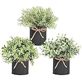 Mkono 3 Pack Small Fake Plants in Black Galvanized Metal Pots Artificial Eucalyptus Plants for Christmas Decorations Shelf Desk Home Farmhouse Room Coffee Table Bathroom Decor