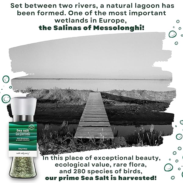 SALT ODYSSEY GRINDER SALT, PURE SEA SALT FOR SEASONING MEAT, FISH AND CHICKEN, 100% NATURAL SEA SALT FROM GREECE, GOURMET SEA SALT WITH GARLIC & BASIL MILL GRINDER (7.05 OZ.)