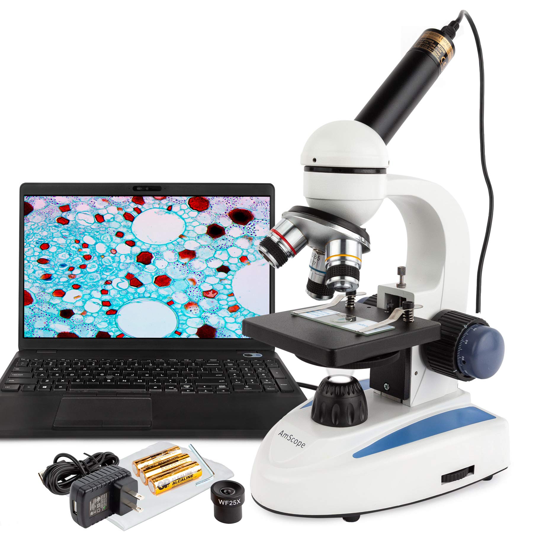 Amscope microscope camera download Amscope microscope camera download